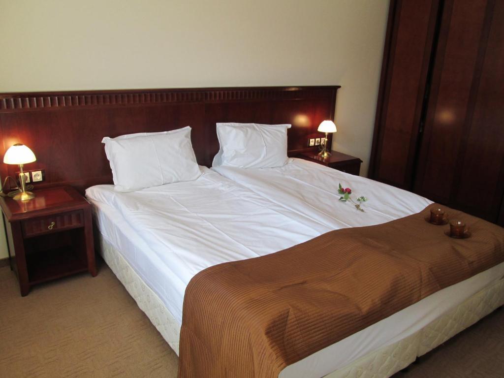 Downtown Alexander Services Apartments Банско Номер фото
